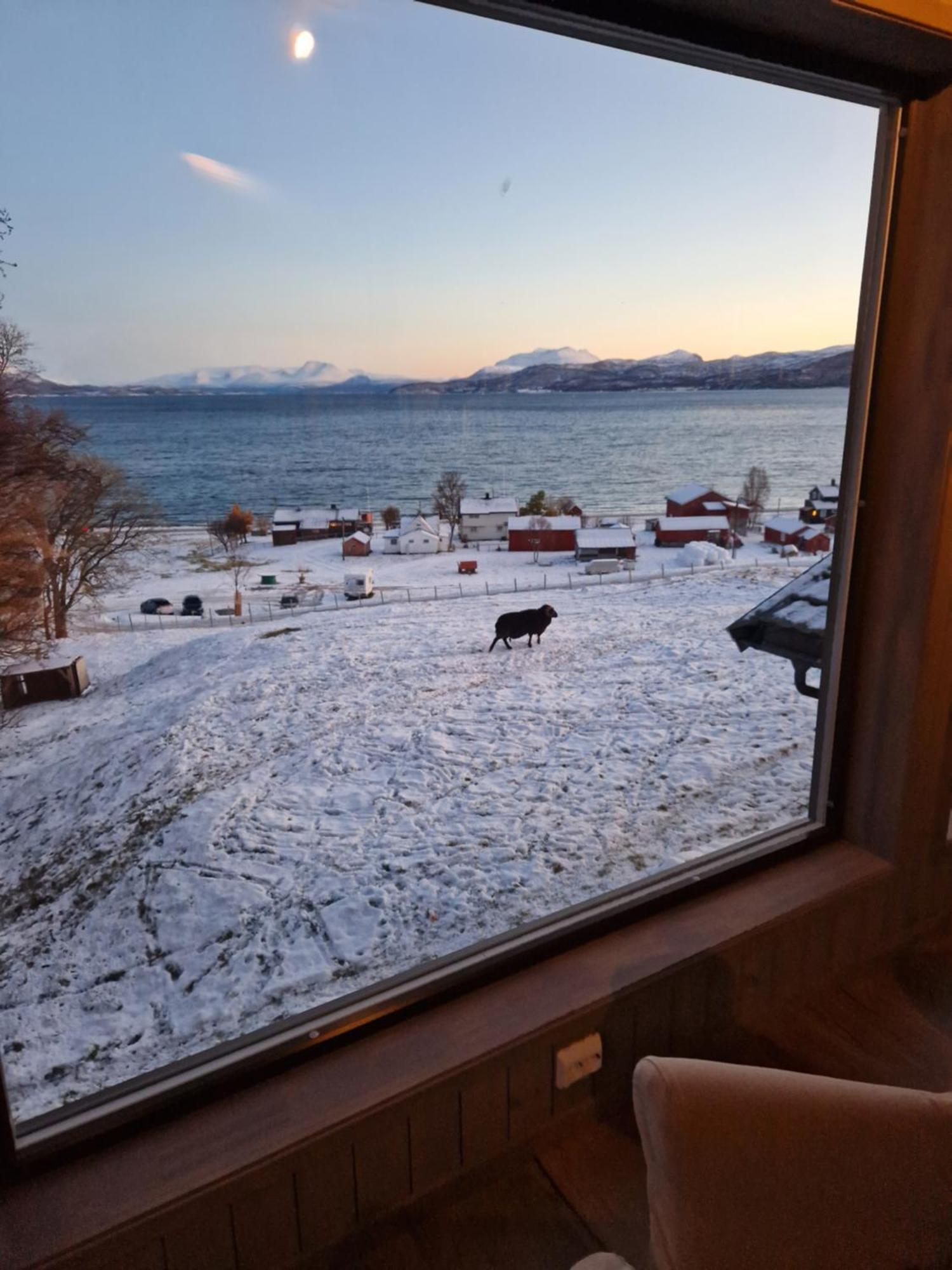 Yggdrasil Farmhotel Retreat, Spa & Yoga Straumsbukta Exteriér fotografie