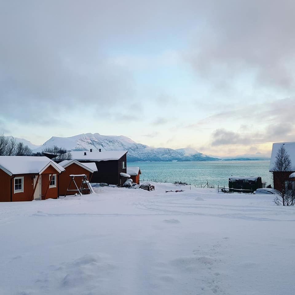 Yggdrasil Farmhotel Retreat, Spa & Yoga Straumsbukta Exteriér fotografie